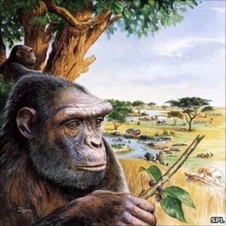 Artist's impression of Toumai