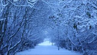 Stockton path covered in snow. Photo by Stephanie Leighton