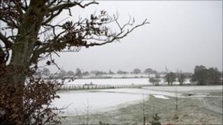 Snow scene