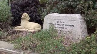 Jersey Animal Shelter