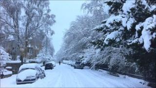Cluny Avenue (Pic: James O'Brien)