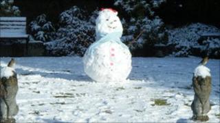 Snowman and robins in Vanessa Hibberd's garden in Christchurch