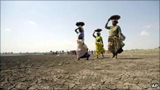 Women farm workers in Andhra Pradesh