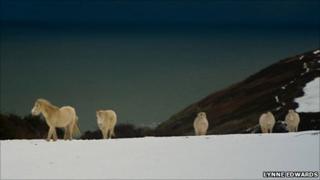 Snow storm approaching the west Wales coast