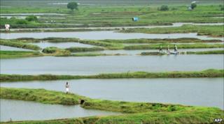 Embankments close to the proposed site of the new airport near Mumbai