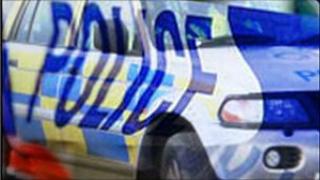Police vehicle