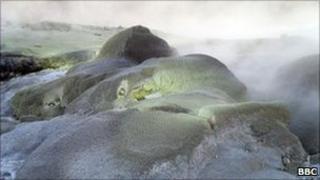 Sulphur pools at Te Puia, Rotorua, New Zealand Sept 2010