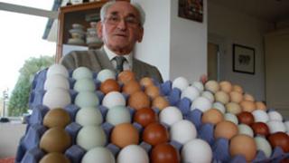 Mr Simmons with some of his multi-coloured eggs