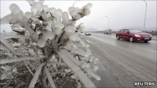Frozen plants on highway in Guiyang, Guizhou province 3 January 2011.