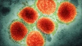 H1N1 virus