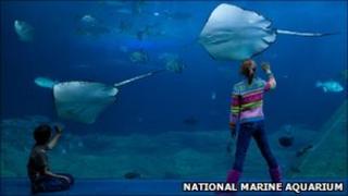 National Marine Aquarium