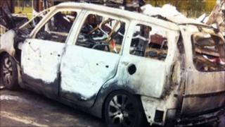 Mr Trotman's car after the fire