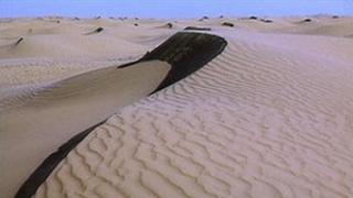 A view of the Sahara desert in Algeria (archive image)