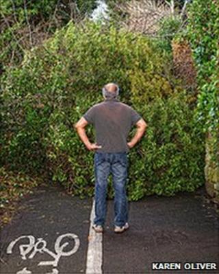 Tree blocks path on Berse Road, Wrexham