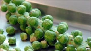 Brussels sprouts