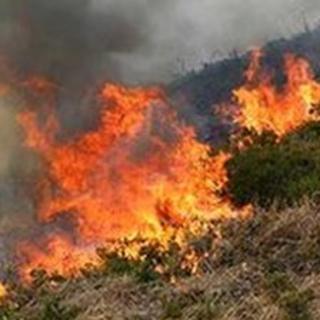 Fire on Upton Heath, Poole