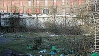 Tillie and Henderson site