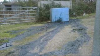 The dumped oil drum and slick
