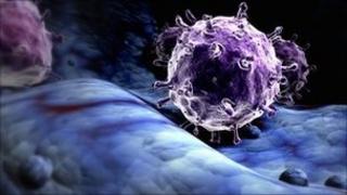 Influenza virus