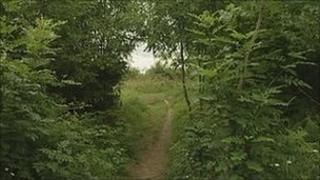Woods, Cramlington