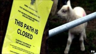 A lamb and a foot and mouth sign