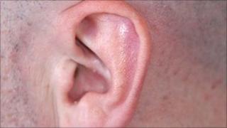 Ear