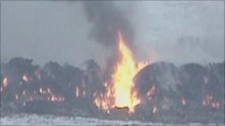 Farm animals on a pyre