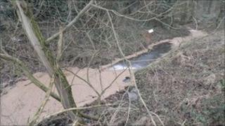 Dumped waste