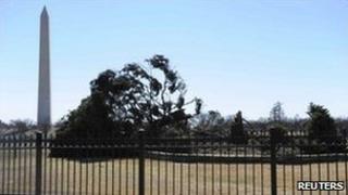 The US "National Christmas Tree" lies toppled, 19 February