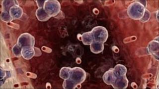 HIV virus