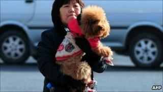 Dog, in booties, Beijing Jan 2011