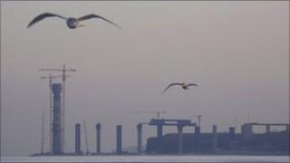 Bridge in Vladivostok, which is under construction and is to be ready for the 2012 Apec summit