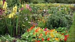 Allotment