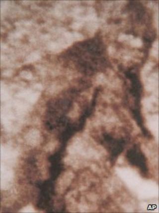 A frame taken from footage in 1967 featuring a large, furry creature