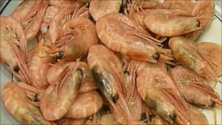 prawns