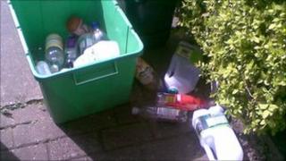 Plastic bottles in recycling bin