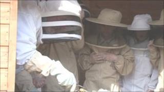 Beekeepers