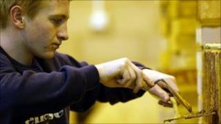 Apprentice carpenter