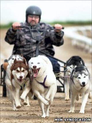 Steve Hall and Huskies
