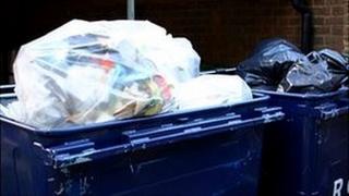 Two industrial size rubbish bins in London