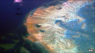 Great Barrier Reef Australia