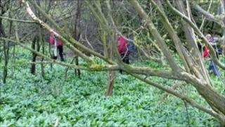 Teams searching for the missing man