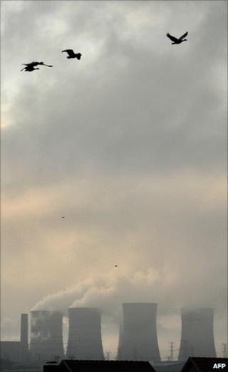 Coal-fired power station and birds