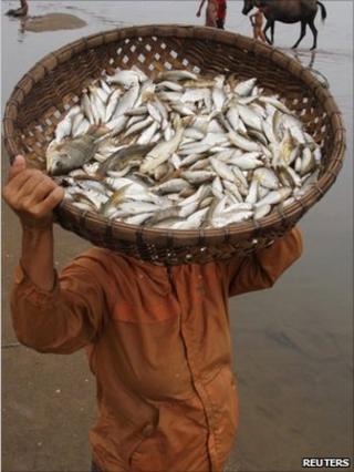 A man carries a fish basket on the Mekong River bank in Laos