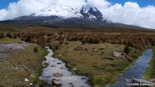 Antisana glacier with a glacier-fed stream on the left and a spring-fed stream on the right