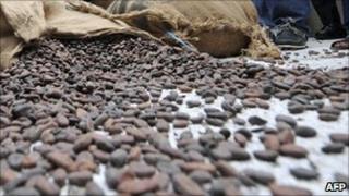 Cocoa beans in Abidjan, Ivory Coast