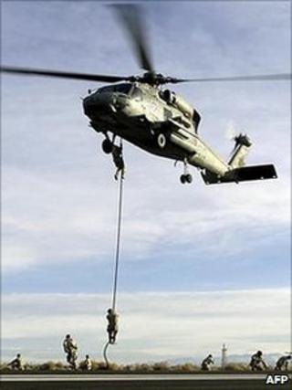UN Navy Seals practise (file image)