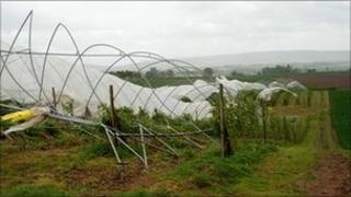 Damaged tunnels at Easter Rattray Farm