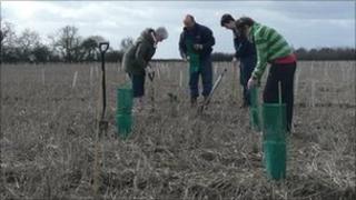 Tree planting at Monks Wood near Nettleham