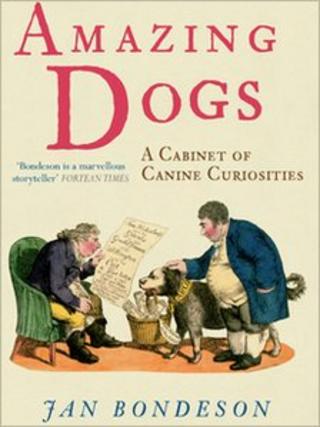 The cover of Jan Bondeson's Amazing Dogs - A Cabinet of Canine Curiosities